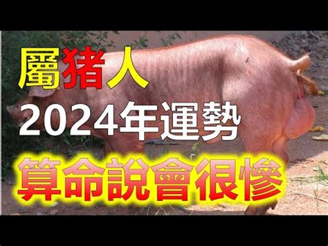 1971屬豬2024運勢豬女|【1971生肖】1971生肖豬運勢大解析！十豬九苦是真的嗎？